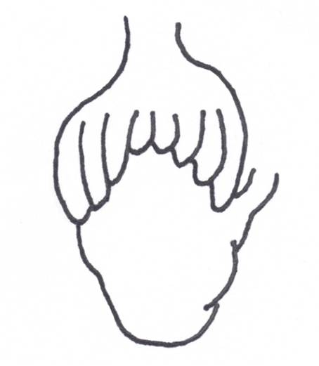 Schema delle appendici piloriche nello stomaco di C. auratus